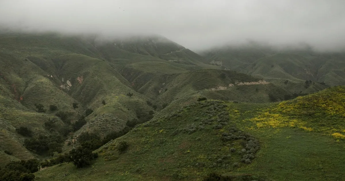 Vales verdes e íngremes da Madeira cobertos de nevoeiro — terreno onde as aluviões descem em menos de duas horas