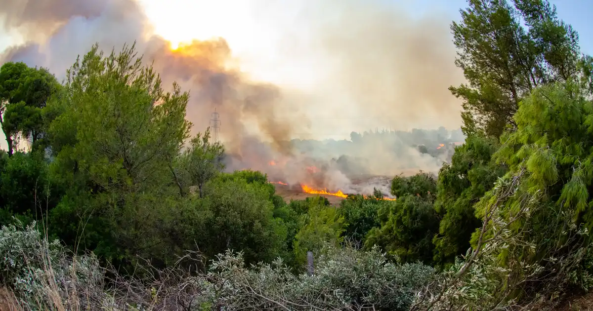 Preparação para incêndios florestais em Portugal: equipamento de emergência e plano de evacuação