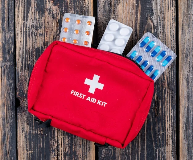 Kit de emergência com material básico